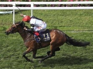 Star not for catching in Irish Oaks