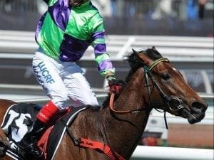 Aurie's Star return likely for I Am A Star