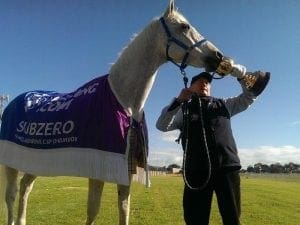 Cup winner Subzero in fight for his life