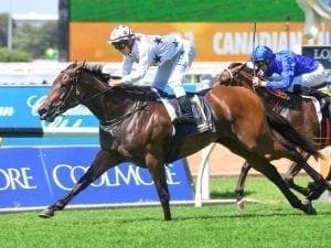 Sunlight shines in Adelaide trial return