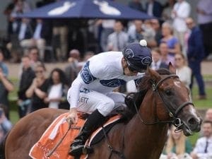 Group 1 winners to trial at Warwick Farm