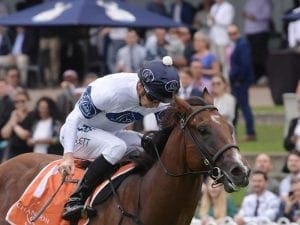 Time To Reign primed for race return