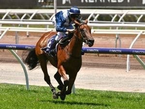 Jedastar set for return at The Valley