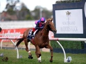 Vega Magic ready for Flemington jump-out