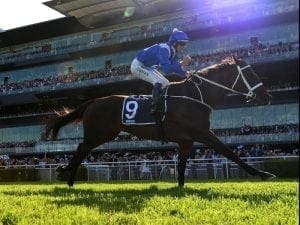 Winx ready for barrier trial at Rosehill