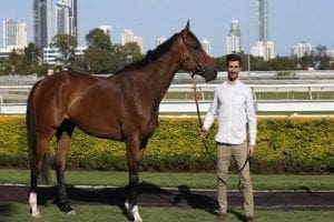 Big future touted for Doomben winner Stanley