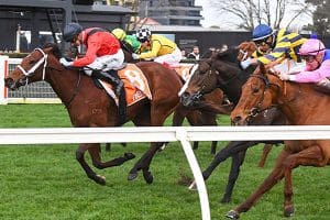 Mileva Winning Sir John Monash Stakes