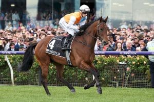 Montefilia joins Chris Waller stable