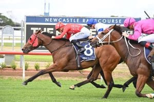 Pierossa wins at Newcastle