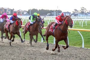 Pitman's enjoy successful day at Riccarton