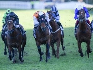 Newnham filly Salutes at Randwick