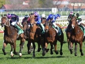 Highway Sixtysix wins at Randwick