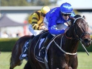 Plague Stone wins 2yo race at Randwick