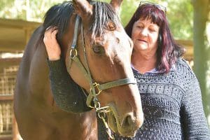 Lamprecht's in search of elusive Darwin three-year-old feature