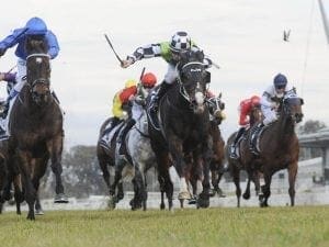 Waller ends season with four at Rosehill