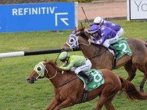 Foxy Housewife adds Rosehill win to record