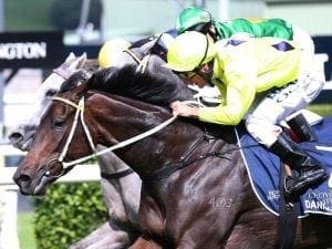 Listed swan song for Danish Twist