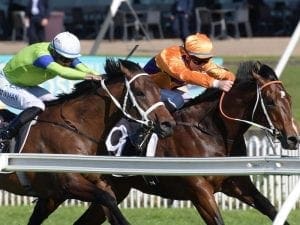 Spend gets the cash on debut at Rosehill