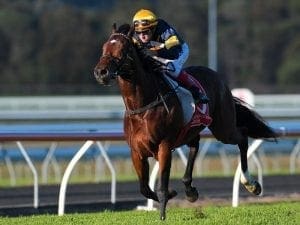 Araldo Junior too tough in Queensland Cup