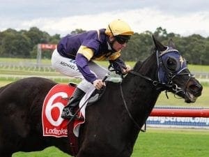 Excess Funds impresses in Sandown return