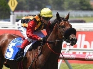 Thousand Guineas the aim for Kinky Boom