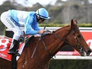 McEvoy has spring plans for Illumicon