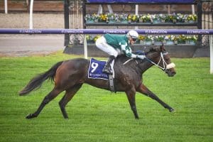 Sigh wins at Flemington