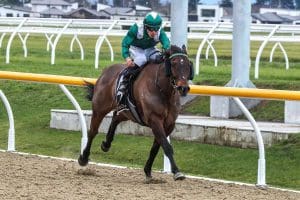 Strike Force ready for Riccarton polytrack task