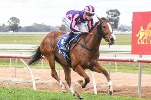 Struck Gold makes winning start in Australia