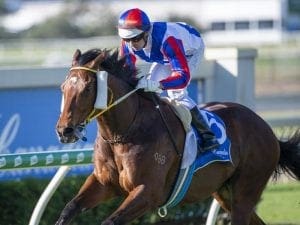 Magic Millions Cup tips, best bets and odds - January 15 Gold Coast preview