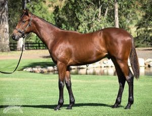 Taksu takes out the Winter Stakes at Randwick