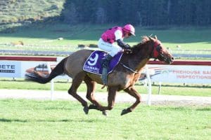 Stephen Blair-Edie enjoying journey with The Good Shepherd