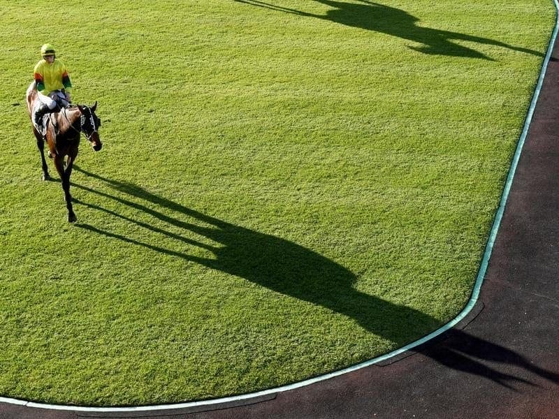 Jockey Blaike McDougall riding Akasaki.