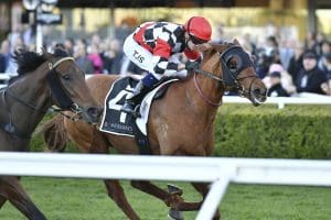 Wewillrock lands Randwick sprint