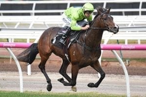 Royal Symphony remains unbeaten