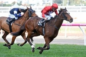 Super Haze gives McEvoy Flemington double