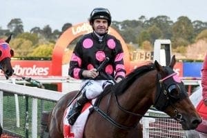 Jockey Dwayne Dunn at Ladbrokes Handicap