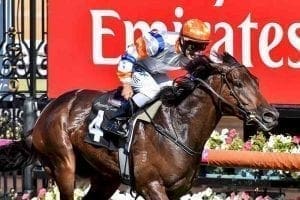 Hey Doc wins at Flemington