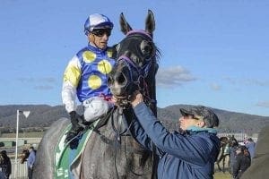 Go One More wins at Goulburn