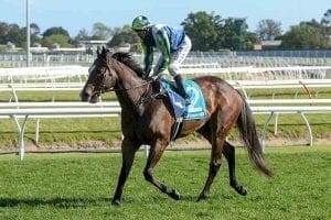 Keen Array at Caulfield