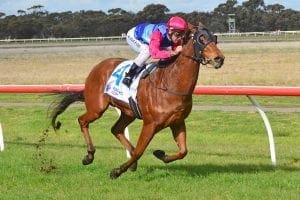 Stunning Star Hills win delights Browell