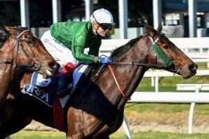 Williams wins on Orient Line at Caulfield