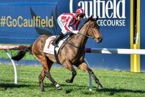 Strong winds predicted for Caulfield races