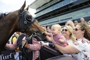 Niccolance after winning Randwick Fashions On The Field Handicap