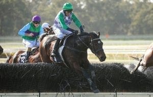 Veterans score over the jumps at Bendigo