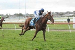 Poetic Ray wins at Warrnambool