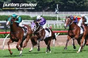 Sunshine Coast racing preview