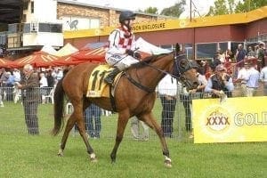 Prada Miss wins at Armidale