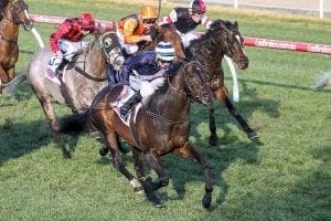 Supido resumes with Monash Stakes win