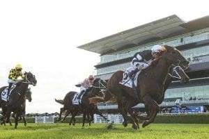 Ranvet Handicap at Royal Randwick racecourse